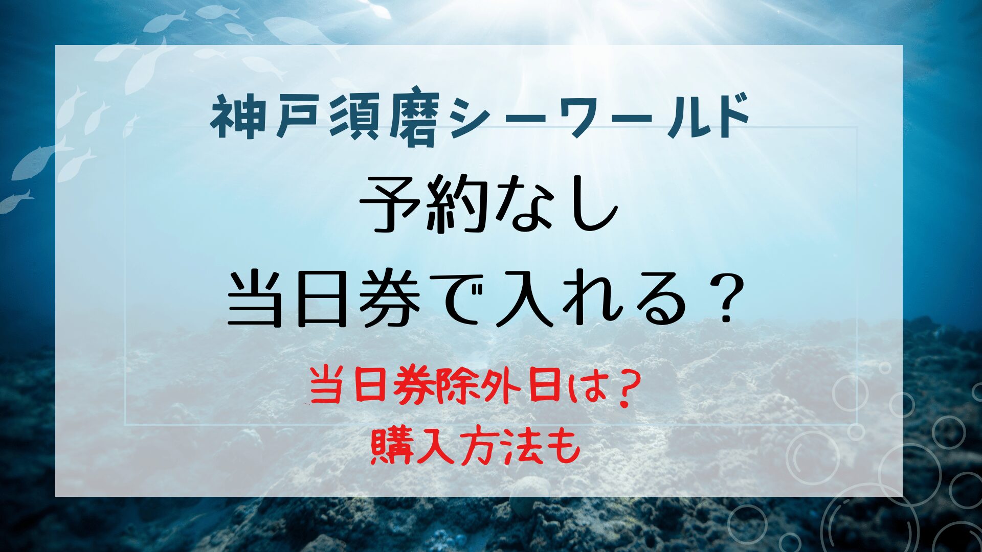 須磨シーワールドは予約なしで当日券で入場可！除外日や購入方法・混雑状況も